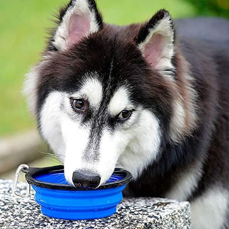 Two collapsible silicone dog travel bowls in green and blue with clips, view 6