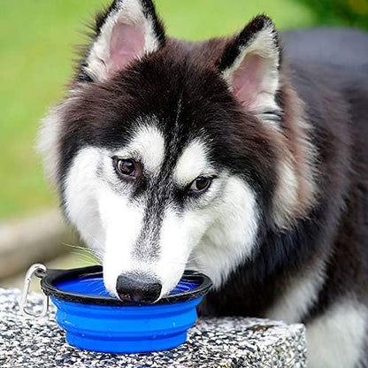 Two collapsible silicone dog travel bowls in green and blue with clips, view 6