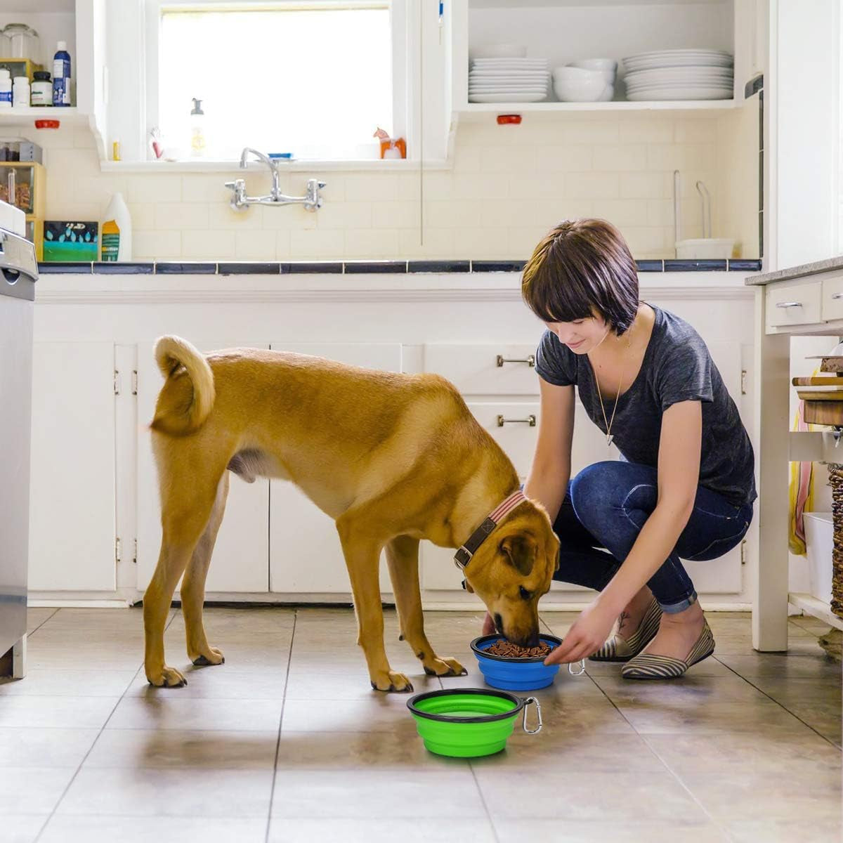 Two collapsible silicone dog travel bowls in green and blue with clips, view 7
