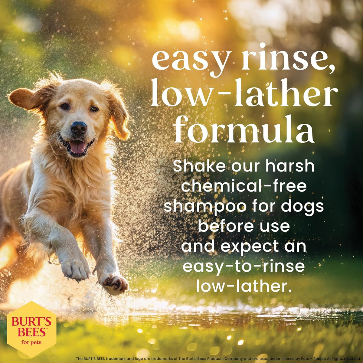 Two bottles of Burt's Bees for Pets Deodorizing Dog Shampoo with apple and rosemary, view 2