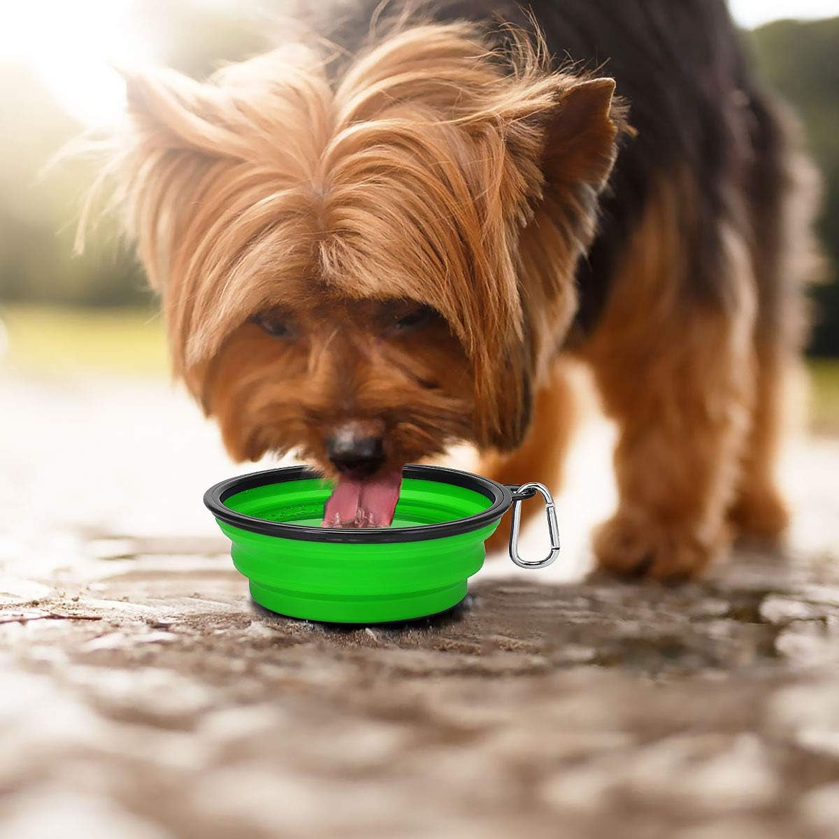 Two collapsible silicone dog travel bowls in green and blue with clips, view 9