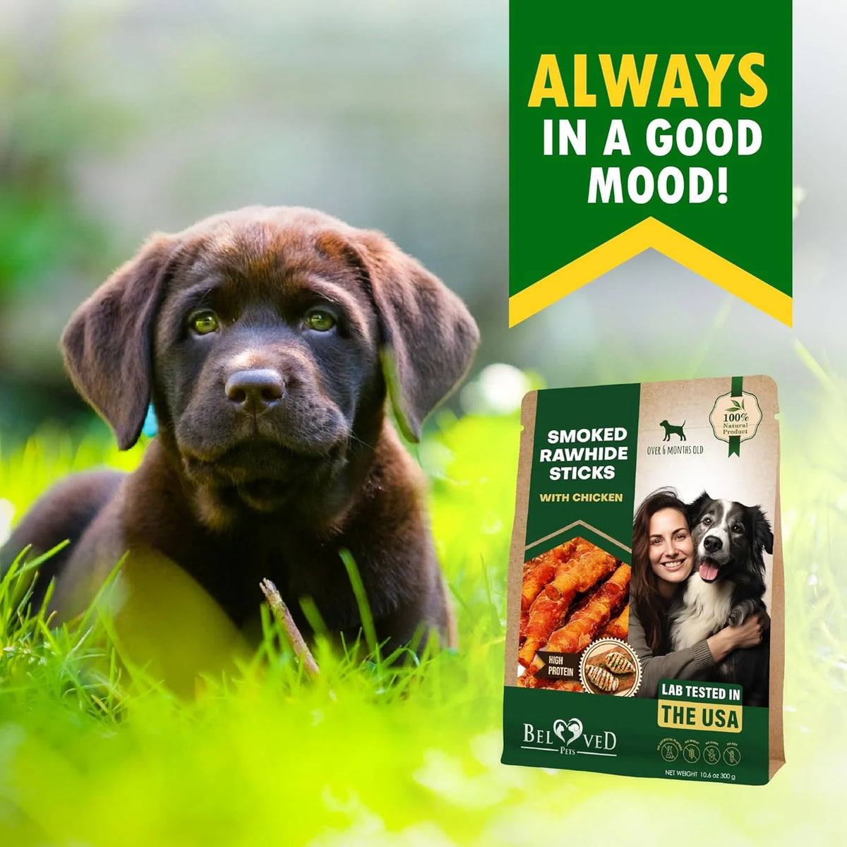 Rawhide dog chew sticks wrapped with smoked chicken, view 2