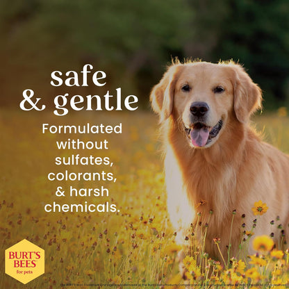 Two bottles of Burt's Bees for Pets Deodorizing Dog Shampoo with apple and rosemary, view 3