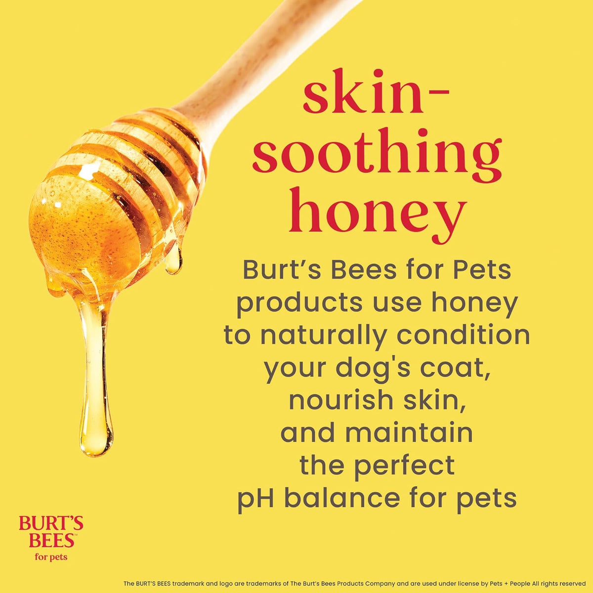 Two bottles of Burt's Bees for Pets Deodorizing Dog Shampoo with apple and rosemary, view 4