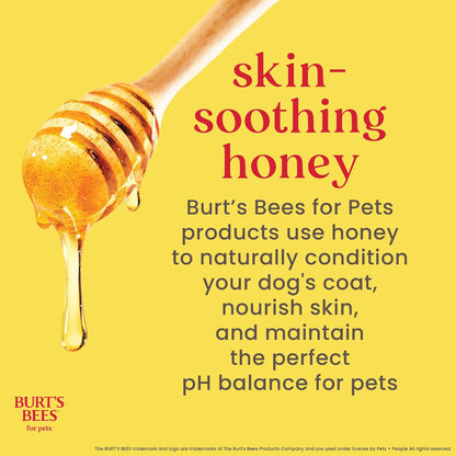 Two bottles of Burt's Bees for Pets Deodorizing Dog Shampoo with apple and rosemary, view 4